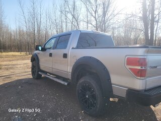 2011 Ford F-150 XII, серый, 2350000 рублей, вид 5