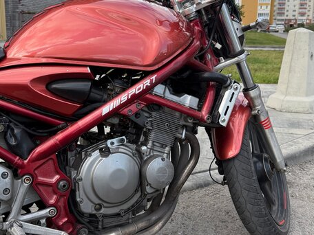 1997 Suzuki Bandit GSF 250, красный, 180000 рублей, вид 4