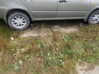 2012 Lada (ВАЗ) Kalina I, бежевый, 205000 рублей, вид 3