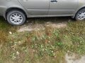 2012 Lada (ВАЗ) Kalina I, бежевый - вид 2