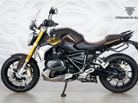 2019 BMW R 1250 R, коричневый, 1149000 рублей, вид 2