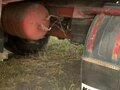 2001 КамАЗ 5321, синий, 1800000 рублей - вид 7
