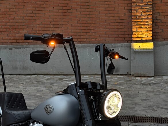 2020 Harley-Davidson Softail Slim, серебристый, 1700000 рублей - вид 13