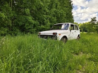 1996 Lada (ВАЗ) 2121 (4x4) I Рестайлинг, бежевый, 155000 рублей, вид 3