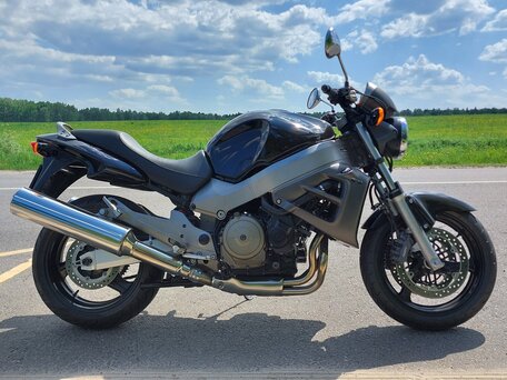 1999 Honda X11, чёрный, 555000 рублей, вид 1