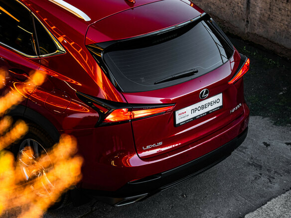 2020 Lexus NX 300 I Рестайлинг, красный - вид 16