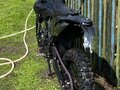 2025 Darex Alga 300, чёрный, 160000 рублей - вид 1