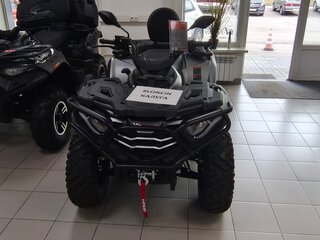 2026 Loncin XWolf 300 Max, серый, 485000 рублей, вид 1