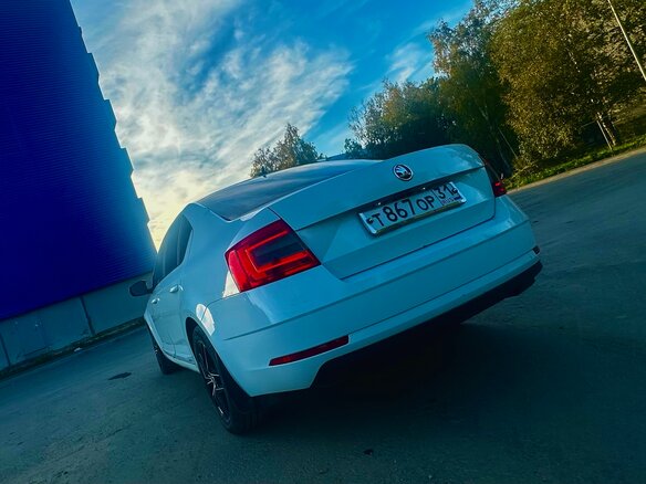 2017 Skoda Octavia III (A7) Рестайлинг, белый, 1450000 рублей - вид 9