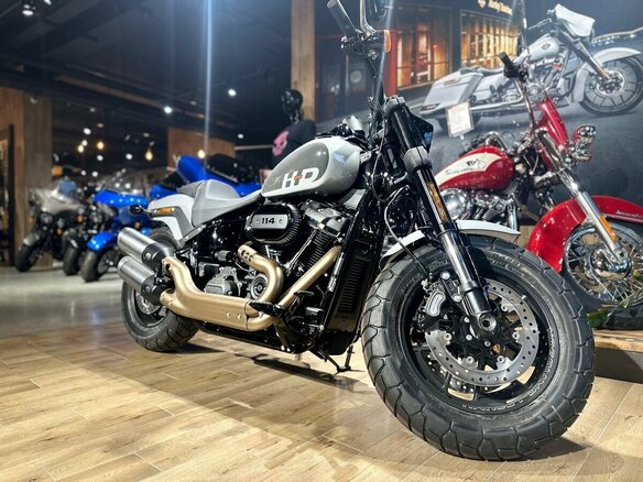 2024 Harley-Davidson Fat Bob, серый, 3450000 рублей - вид 10
