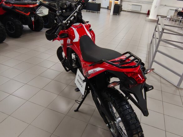 2026 Loncin DS250, красный, 258000 рублей - вид 12