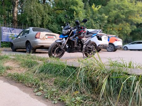 2022 Regulmoto T-Leopard 300, синий, 150000 рублей, вид 5