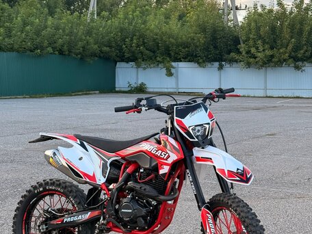 2024 Progasi Super Max 300, красный, 159000 рублей, вид 1