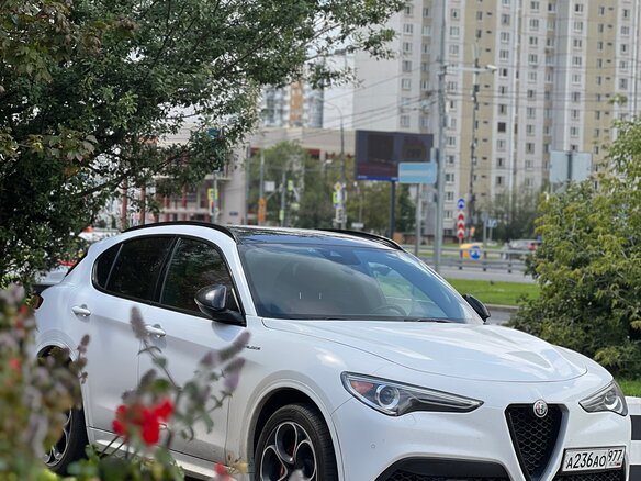 2022 Alfa Romeo Stelvio I Рестайлинг, белый, 3700000 рублей - вид 1