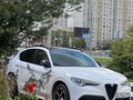2022 Alfa Romeo Stelvio I Рестайлинг, белый, 3700000 рублей - вид 1
