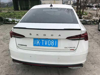 2023 Skoda Octavia IV (A8), белый, 1631000 рублей, вид 5