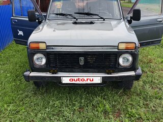 2006 Lada (ВАЗ) 2131 (4x4) 213105 I, серый, 250000 рублей, вид 2