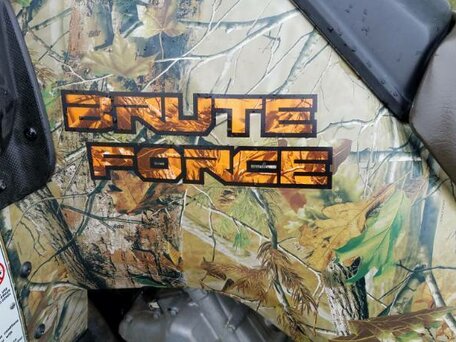 2012 Kawasaki KVF 750 Brute Force, коричневый, 800100 рублей, вид 4