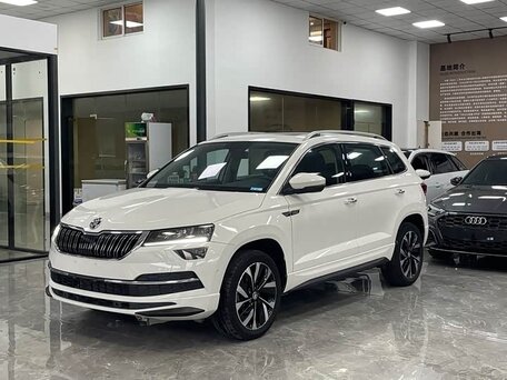 Skoda Karoq I