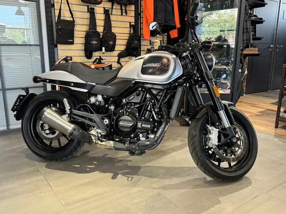 2023 Harley-Davidson X500, серебристый - вид 10
