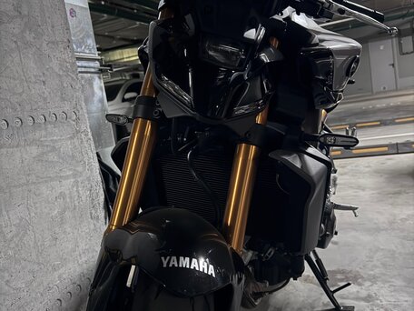 2025 Yamaha MT-09 (FZ-09), серебристый, 1500000 рублей, вид 5