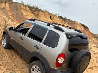 2010 Chevrolet Niva I Рестайлинг, серый, 335000 рублей, вид 3