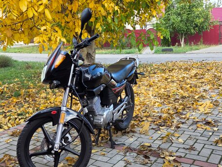 2009 Yamaha YBR125, чёрный, 150000 рублей, вид 1
