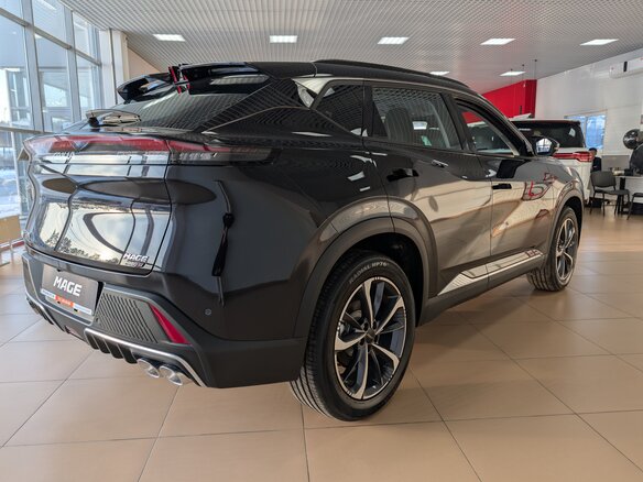 2024 Dongfeng Mage, чёрный - вид 6