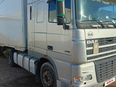 2005 DAF 95XF, серый, 1100000 рублей, вид 3