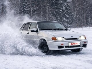 2008 Lada (ВАЗ) 2115, серебристый, 145000 рублей, вид 1