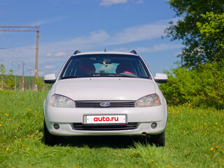 2011 Lada (ВАЗ) Kalina I, белый, 200000 рублей, вид 5