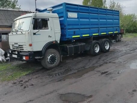 2001 КамАЗ 5321, серый, 2350000 рублей, вид 3