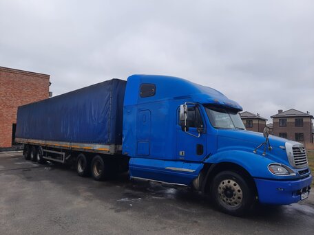 2003 Freightliner Columbia, синий, 1300000 рублей, вид 2