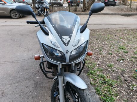 2002 Yamaha FZS600 Fazer, серый, 320000 рублей, вид 1