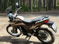 2019 Racer Panther, коричневый, 145000 рублей - вид 7
