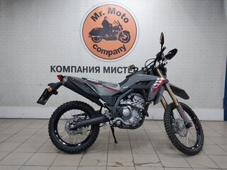 2025 Honda CRF 300L, серый, 717000 рублей, вид 1