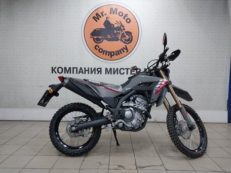 2025 Honda CRF 300L, серый, 717000 рублей, вид 1