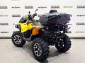 2026 Stels ATV-1000 Guepard, жёлтый - вид 6