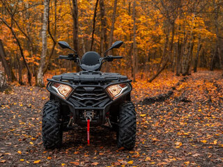2026 Loncin XWolf 300, серый, 485000 рублей, вид 4