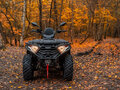 2026 Loncin XWolf 300, серый, 485000 рублей - вид 3