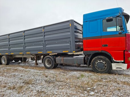 2000 DAF XF 95, красный, 570000 рублей, вид 2