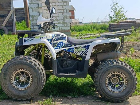 2024 Motoland Wild Track 200, белый, 150000 рублей, вид 3