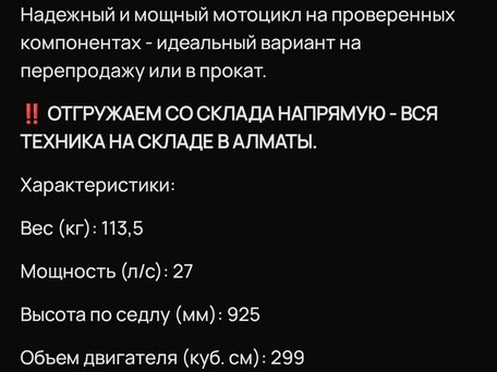 2025 Sycmmc 300, серый, 130000 рублей, вид 3