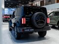 2026 Tank 300 I, чёрный, 5249000 рублей - вид 6