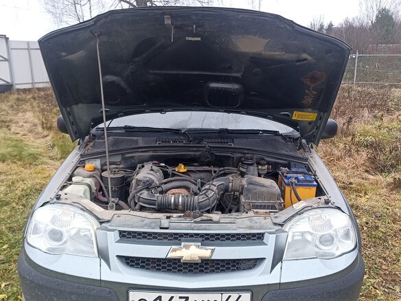 2010 Chevrolet Niva I Рестайлинг, серый, 300000 рублей - вид 3