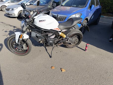 2019 Ducati Monster 797, белый, 630000 рублей, вид 1