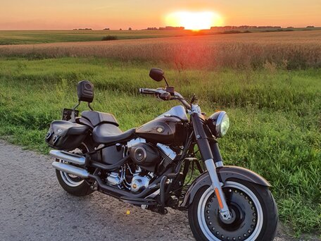 2013 Harley-Davidson Fat Boy, коричневый, 1200000 рублей, вид 3