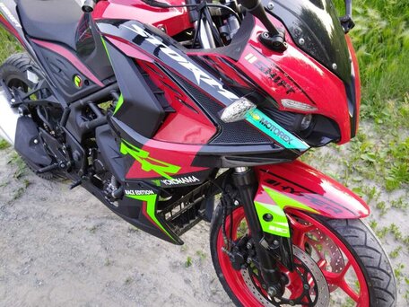 2024 Racer Enduro, красный, 270000 рублей, вид 5