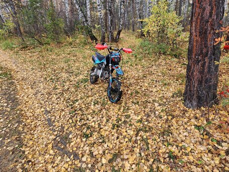 2022 Regulmoto Seven Medalist 150E, жёлтый, 75000 рублей, вид 2
