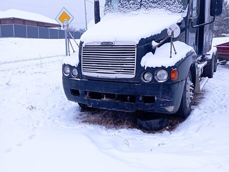 2001 Freightliner Century Class, чёрный, 780000 рублей, вид 2